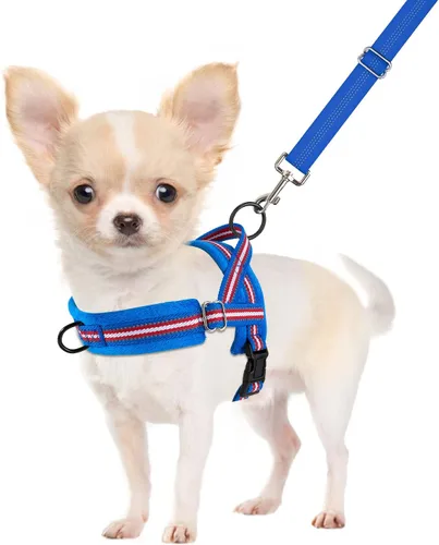 Miniatura 10 de SlowTon - Juego de arnés y correa para perros pequeños sin tirones, chaleco suave ajustable para cachorros para el cuello y el pecho, arnés