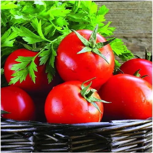 Park Seed Variedad de semillas de tomate, plantas de vegetales, fácil de cultivar, sin OMG, perfectas para cosechar, Early Girl híbrido, paquete de