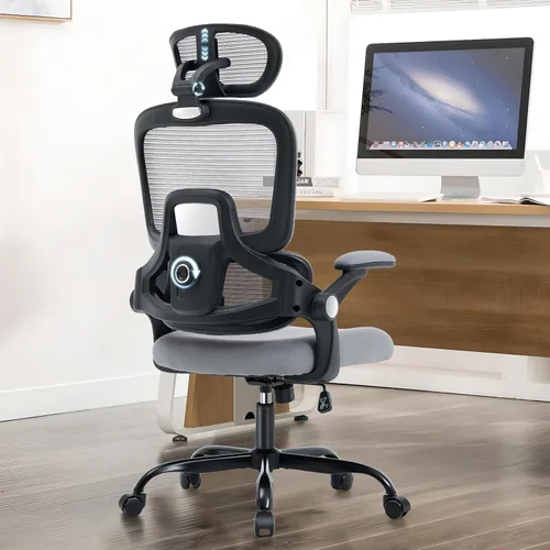 Silla de oficina ergonómica, silla de escritorio de malla con soporte lumbar ajustable 2D, alivia el dolor de espalda durante largos días de trabajo