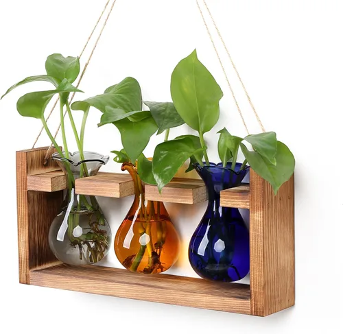 Miniatura 12 de Estación de Propagación de Plantas Terrario de Plantas Regalos Únicos de Cumpleaños para Mujeres Decoración para Hogar y Oficina Maceta con Soporte