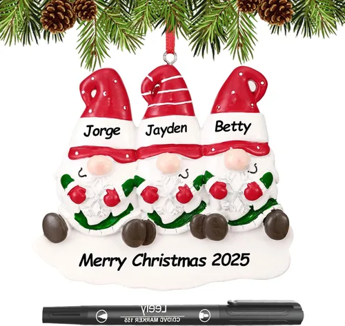 Adornos de Navidad personalizados 2025, familia de 2, 3, 4, 5, 6, gnomo, adorno de Navidad personalizado con nombres, adornos familiares Gnomos