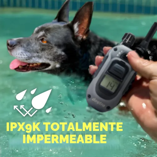 Miniatura 6 de Dogtra Collar de Entrenamiento 280X con Control Remoto [Nueva Edición] 10 libras+, Alcance de 1/2 Milla, Luz LED, 100 Niveles de Control Preciso