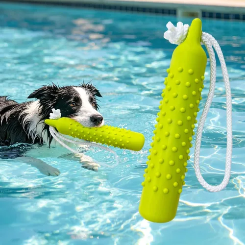 BINGPET Juguete flotante para perros, parachoques ligero de 10.8 pulgadas para agua al aire libre, juguetes flotantes de agua para perros medianos y