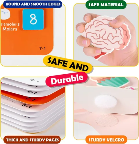 Miniatura 7 de Freebear Libro Ocupado Montessori para Niños, Libro de Anatomía del Cuerpo Humano para Niños Pequeños, Actividades de Aprendizaje Preescolar