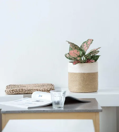 Miniatura 2 de Dahey - Cesta tejida pequeña de cuerda de algodón para plantas, cesta enrollada para macetas de hasta 7 pulgadas, cesta decorativa para cubrir