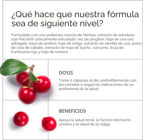 Miniatura 4 de El mejor suplemento para la limpieza del riñón, fórmula que ayuda a los riñones con el extracto orgánico de arándano, elimina toxinas, mejora