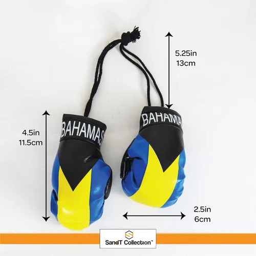 Miniatura 5 de SandT Collection Guantes de boxeo pequeños con bandera del país - Guantes de boxeo para colgar
