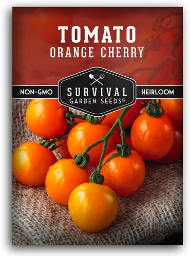 Semilla de tomate cereza naranja para plantar, 1 paquete con instrucciones para plantar y cultivar tomates cherry naranja afrutados en el huerto de
