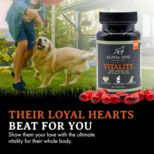 Miniatura 6 de Aceite de krill para perros – Vitality by Alpha Dog Nutrition – Reduce las alergias, picazón y desprendimiento de perros – Promueve la piel