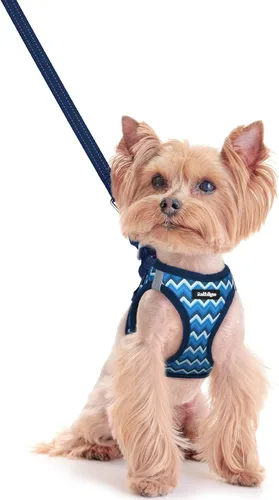 Miniatura 104 de rabbitgoo Juego de arnés para perro de tamaño pequeño y correa, chaleco ligero suave para cachorro, arnés de malla transpirable para mascotas