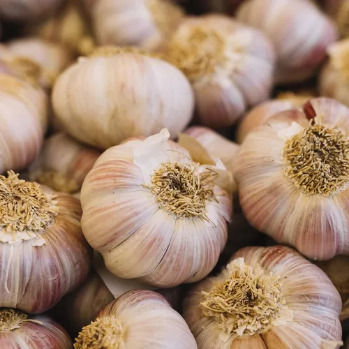 Miniatura 4 de Golosinas naturales para caballos con superalimentos y piezas de fruta real, sin azúcar añadido, hechas a mano en Italia, 1,54 libras (ajo)