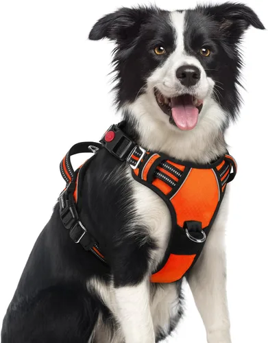 Miniatura 13 de rabbitgoo Arnés para perro de tamaño pequeño, chaleco para perro sin tirones con 3 hebillas, arnés ajustable y acolchado suave para mascotas con asa