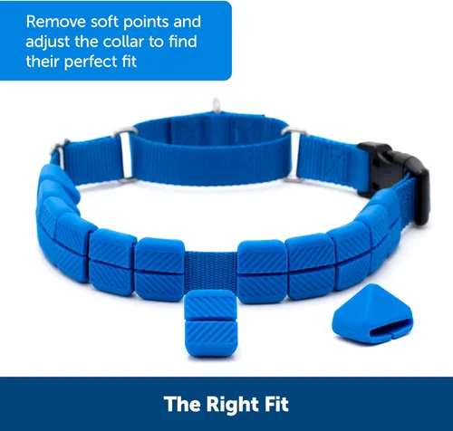 Miniatura 4 de PetSafe Soft Point - Collar de entrenamiento sin tirones para perros, puntos suaves de goma, mediano, 3/4 pulgadas, azul rey