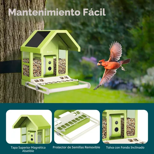 Miniatura 8 de Birdfy Comedero inteligente para pájaros con cámara, alimentador de pájaros de metal duradero para exteriores, detección automática y grabación