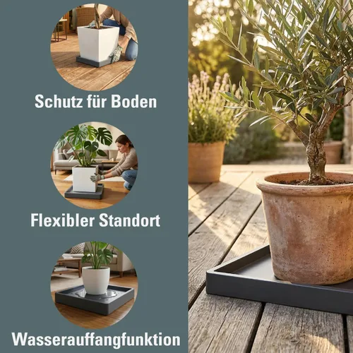 Miniatura 4 de Prosperplast Mobile Saucer Square Roller Base Flower Pot Saucer with Wheels Plant Roller 360 Degree Rotatable Square