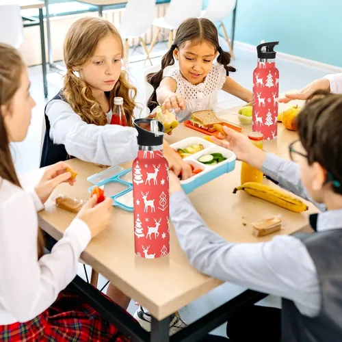 Miniatura 6 de Merry Christmas White Snowflakes Elk Leakproof and BPA Free Kids' Metal Water Bottle with Straw Lid Double Wall Vacuum Insulated Bottles for Travel