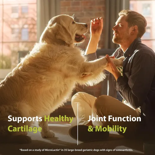 Miniatura 6 de PRN Pharmacal Duralactin Canine Joint Plus Soft Chews - Suplemento de salud articular para perros y cachorros - Apoyo de movilidad de mascotas - 60