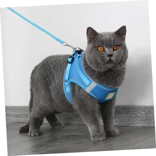 Miniatura 3 de COLLBATH Reflective Dog Vest Harness Set with Breathable Mesh Chest Strap Lightweight and Pet Pulling Strap for Outdoor Walking Blue S Comfortable