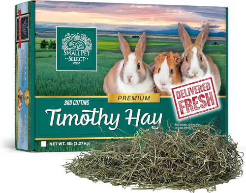 Small Pet Select Heno Timothy de 3er corte, alimento animal para conejillo de indias, conejo, hámster, conejo o chinchilla, heno natural cultivado