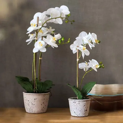 Miniatura 6 de Cambaverd 40 piezas de palos de bambú natural para plantas de interior y exterior, estacas de soporte de 16 pulgadas para tomate, frijoles, plantas