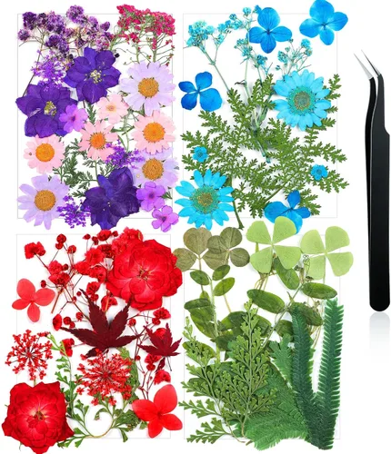 Miniatura 25 de Nuanchu Flores secas prensadas negras para manualidades, flores secas góticas, flores silvestres prensadas naturales a granel con pinzas para molde