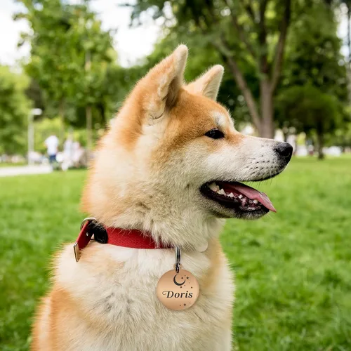 Miniatura 5 de Etiquetas de perro grabadas para mascotas, etiquetas de nombre de perro personalizadas, etiquetas de identificación de perro pequeños, etiquetas