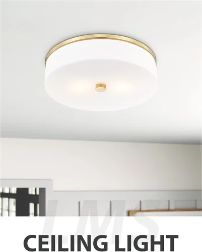 Miniatura 8 de LMS Lámpara de techo empotrada, moderna lámpara de techo de baño dorada cepillada con tambor blanco lechoso pantalla acrílica para cocina, sala
