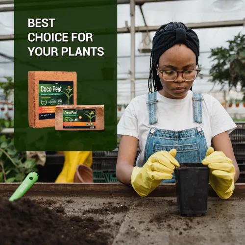 Miniatura 2 de Coco Coir (22.93 oz, 5+1 ladrillos) - Ladrillos de coco comprimido con bajo equilibrio de EC y pH - Fibra de coco de alta expansión para hierbas