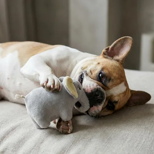 Miniatura 3 de Juguetes para perros Animal de peluche de elefante para perros Juguete ecológico para perros pequeños