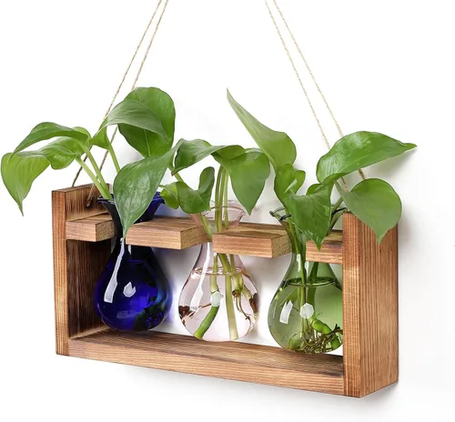 Miniatura 9 de Estación de Propagación de Plantas Terrario de Plantas Regalos Únicos de Cumpleaños para Mujeres Decoración para Hogar y Oficina Maceta con Soporte