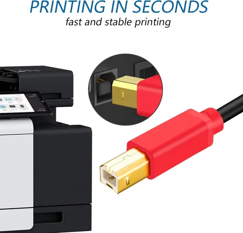 Miniatura 6 de Tan QY Cable de impresora de 10 pies, USB 2.0 de alta velocidad chapado en oro, cable de escáner de impresora A macho a B macho para HP, Canon, 3.05