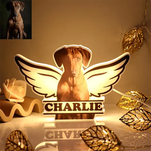 Miniatura 16 de Lámpara de fotos personalizada con 5 imágenes, luz LED para dormitorio, noche 3D, Navidad, cumpleaños, hueso, 8 pulgadas