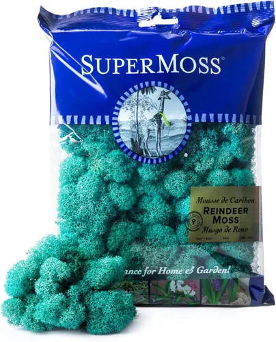 SuperMoss (25160) Musgo de reno, musgo preservado suave para decoración del hogar, manualidades, terrarios, diseño floral y decoraciones de boda,