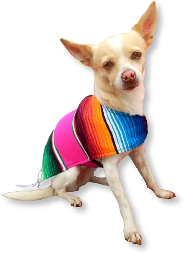 Miniatura 7 de Poncho de perro hecho a mano de Authentic Mexican Blanket; ropa para perros, suéter, abrigo, XL, Azul