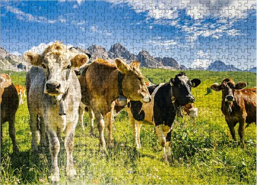 Miniatura 7 de MyPuzzle Cows in Front of an Idílico Alpine Landscape - Rompecabezas prémium de 1000 piezas para adultos