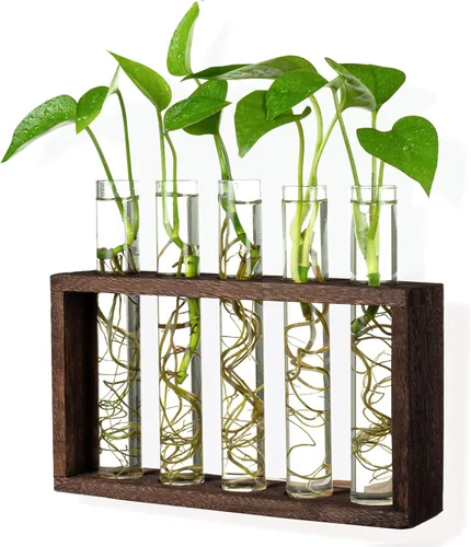 Estación de propagación de plantas de madera de 5 tubos, soporte de terrario de vidrio de mesa para esquejes hidroponía, decoración de escritorio de