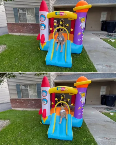 Miniatura 8 de Whubefy Casa inflable con tobogán para niños, diversión familiar en interiores y exteriores con área de salto, juego de pelota de lanzamiento