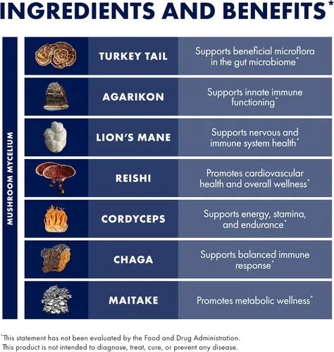 Miniatura 6 de Host Defense MyCommunity Powder - Suplemento de hongos de mezcla de 17 especies para apoyo inmunológico - Extracto con melena de león, reishi