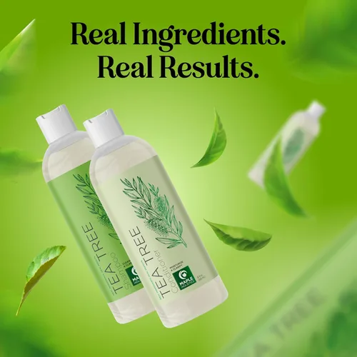 Miniatura 9 de Juego de champú y acondicionador de árbol de té, champú y acondicionador aclarante sin sulfato para el cuidado del cabello graso y el cuero