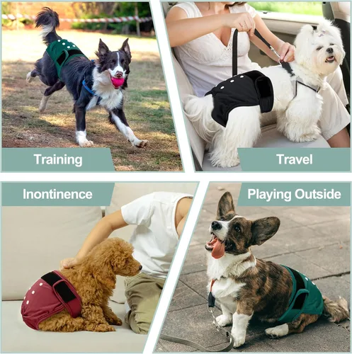 Miniatura 20 de Pañales lavables para perros, para hembras caninas, reutilizables, para periodo de celo, altamente absorbentes, para incontinencia, con broches