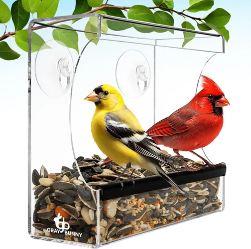 Comedero para pájaros con ventana transparente - Comedero premium para exteriores con fuertes ventosas, agujeros de drenaje y gran capacidad de
