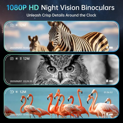 Miniatura 6 de Gafas de visión nocturna, prismáticos de visión nocturna para adultos, zoom digital 10X, binoculares infrarrojos 7X con tarjeta TF de 64 GB