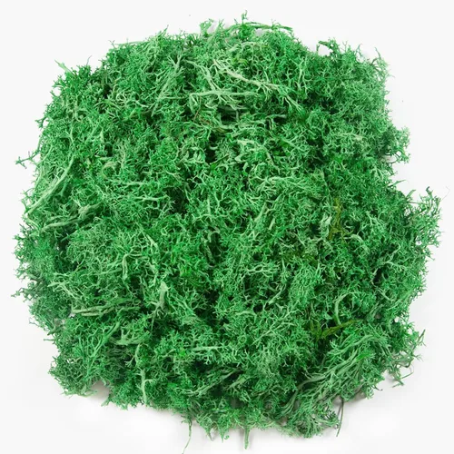 Miniatura 17 de Musgo falso de 3.5 onzas para plantas de interior, musgo blanco artificial realista preservado para manualidades, musgo de reno para centros de mesa