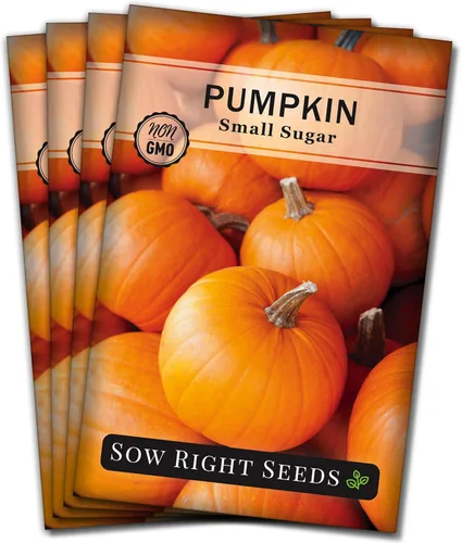 Miniatura 9 de Sow Right Seeds - Semilla pequeña de calabaza de azúcar para plantar - Paquete de reliquia sin OMG con instrucciones para plantar un huerto casero
