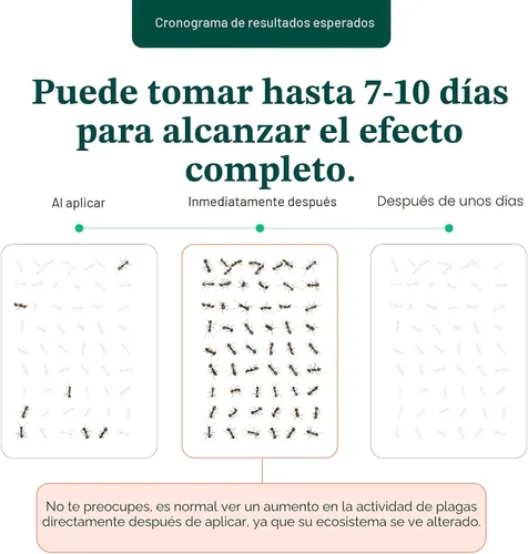 Miniatura 5 de Pestie Kit de control de plagas de barrera para el hogar, control experto de plagas para tu hogar, asesino de insectos de acción rápida y larga