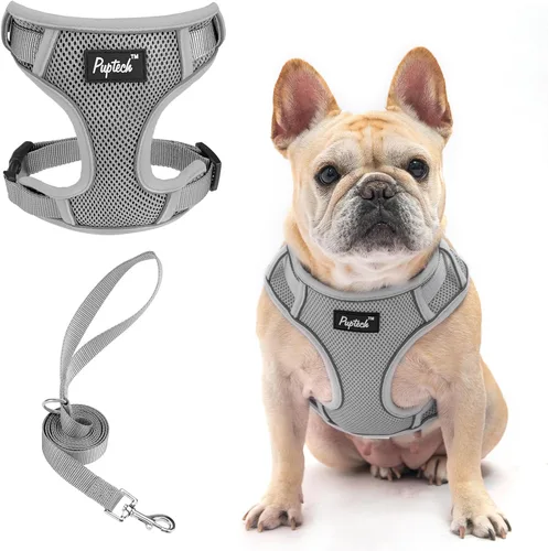Miniatura 50 de PUPTECK Juego de arnés y correa para perro pequeño, arnés ajustable sin tirones para cachorro, chaleco de malla suave reflectante para mascotas