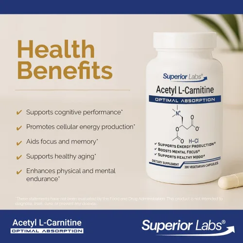 Miniatura 3 de Superior Labs Acetil L-carnitina 500 mg, ALCAR de alta potencia, puro sin OMG, cero aditivos sintéticos, máxima absorción, metabolismo de energía