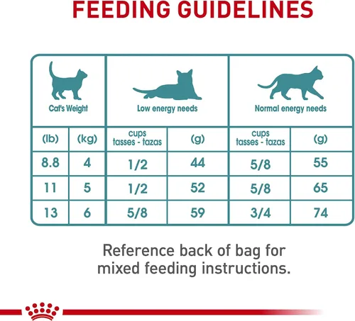 Miniatura 10 de Royal Canin Feline Care Nutrition Hairball Care Alimento seco para gatos adultos, bolsa de 3 libras