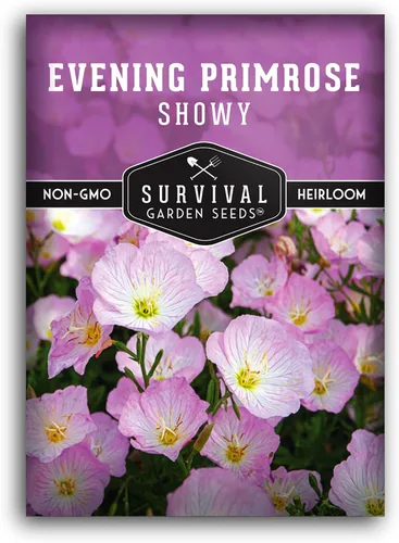 Semillas de onagra llamativas para plantar, 1 paquete con instrucciones para plantar y cultivar Pinkladies en el jardín de flores de tu hogar,