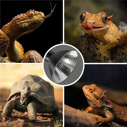 Miniatura 7 de Briignite Lámpara de calor de reptil roja, bombilla de calor G9 de 50 W y lámpara de cúpula para reptiles, reflector de aluminio, lámpara de calor